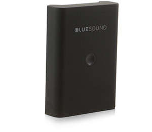 Bluesound BP100 Battery Pack